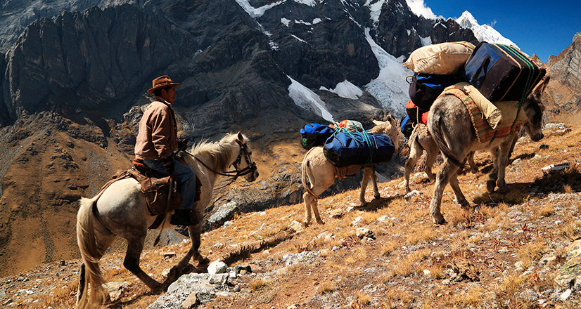 Recorrido en burro por las montañas
